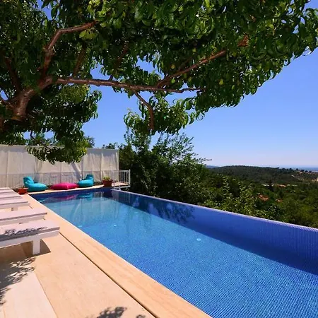 Murat * Kalkan
